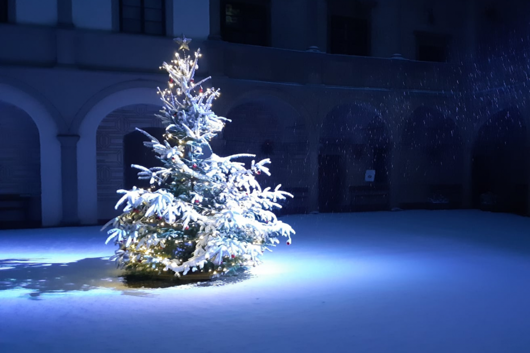 Rosický advent